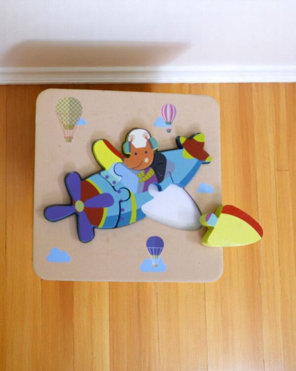 Airplane Puzzle