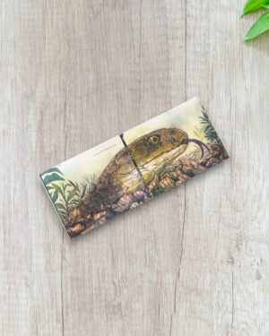 Ajay of Agumbe and the Signal Snake