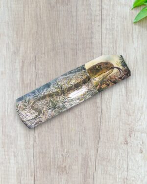 Ajay of Agumbe and the Signal Snake