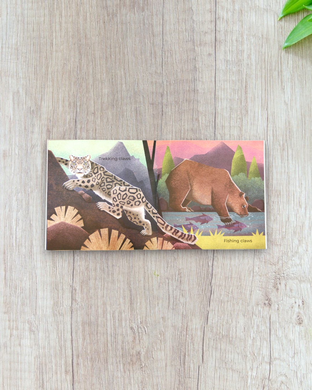 All About Claws - Image 2