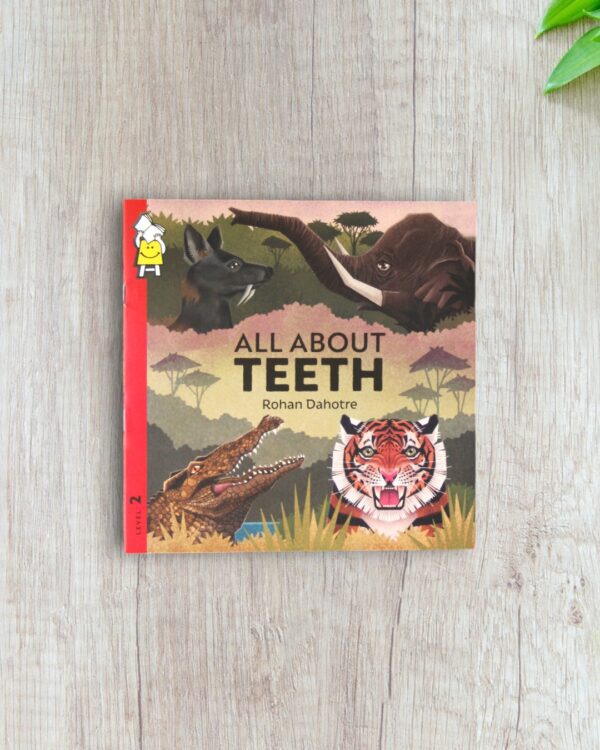 All About Teeth