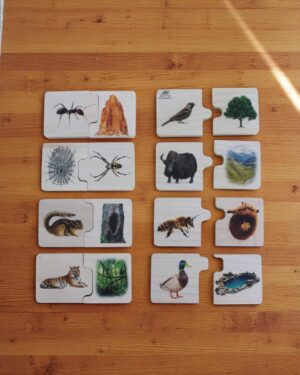 Animals & their Habitat