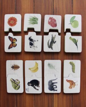 Animals & their Feed