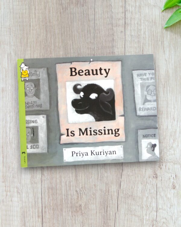 Beauty is Missing