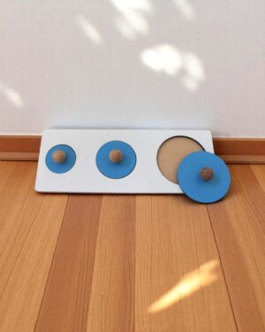 Circle Seriation Puzzle