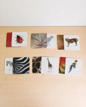 Curious Cub – Level 14