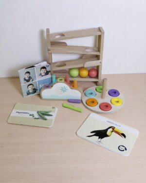 Curious Cub – Level 6