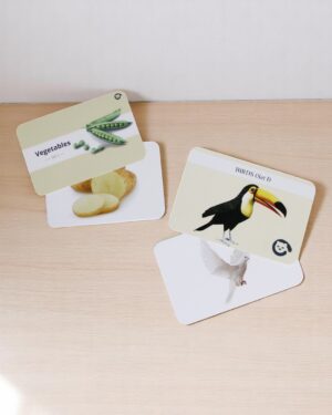 Curious Cub – Level 6