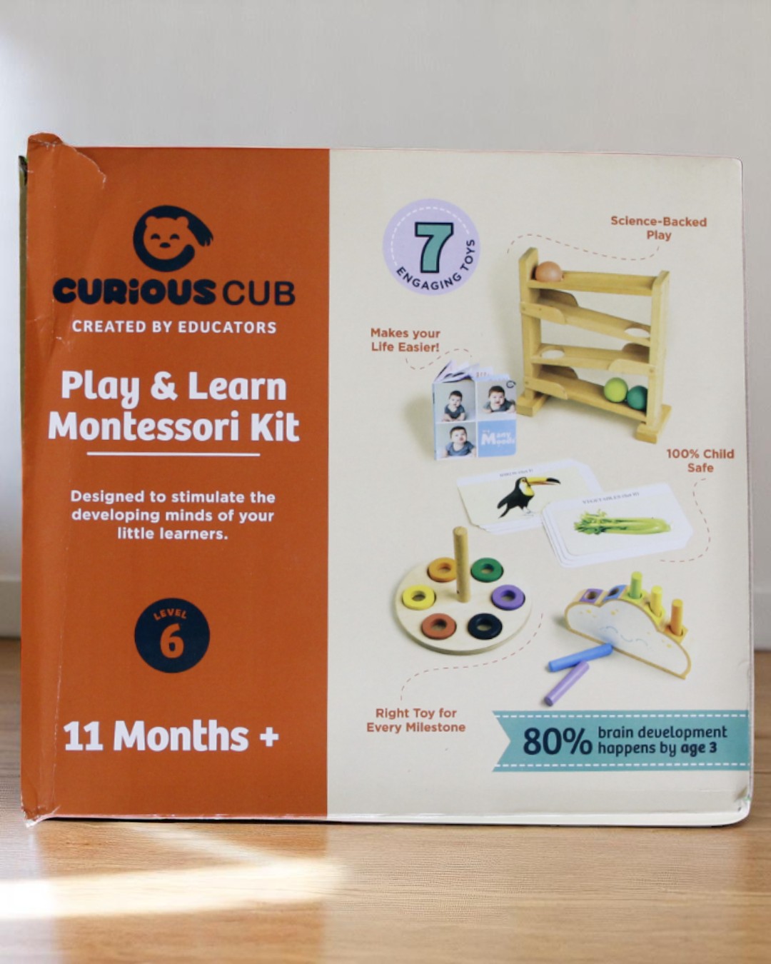 Curious Cub – Level 6 - Image 6