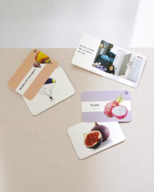 Curious Cub – Level 7