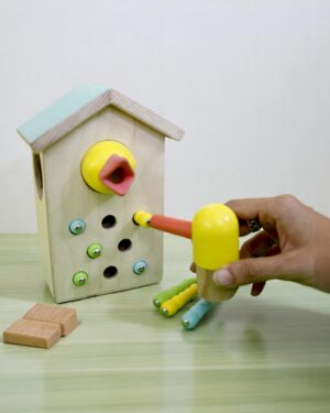 Curious Cub – Level 8