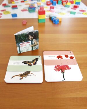 Curious Cub – Level 8