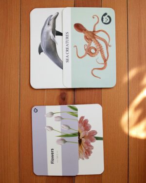 Curious Cub – Level 10