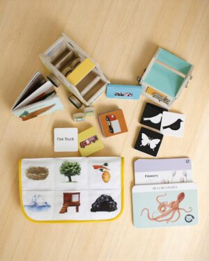 Curious Cub – Level 10