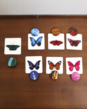 Curious Cub – Level 12