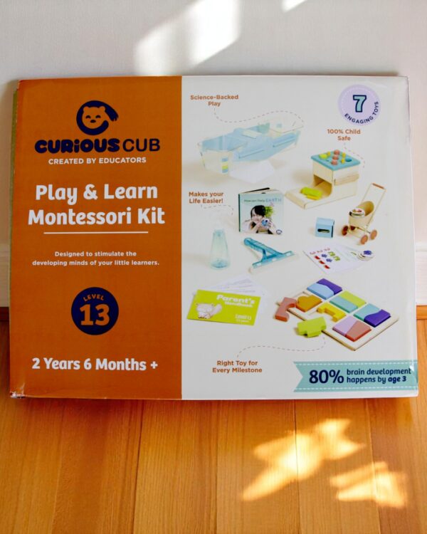 Curious Cub – Level 13 - Image 3