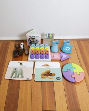 Curious Cub – Level 9