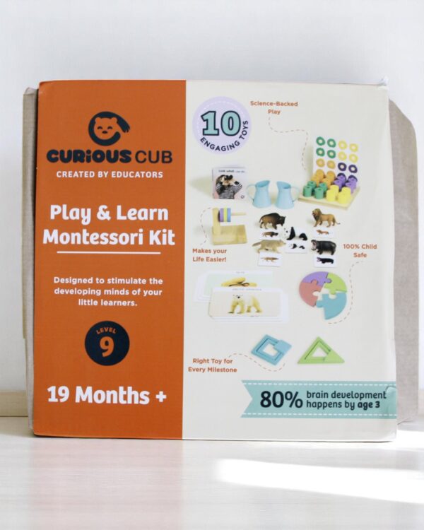 Curious Cub – Level 9 - Image 2