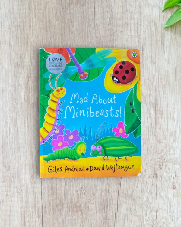 Mad about Mini Beasts