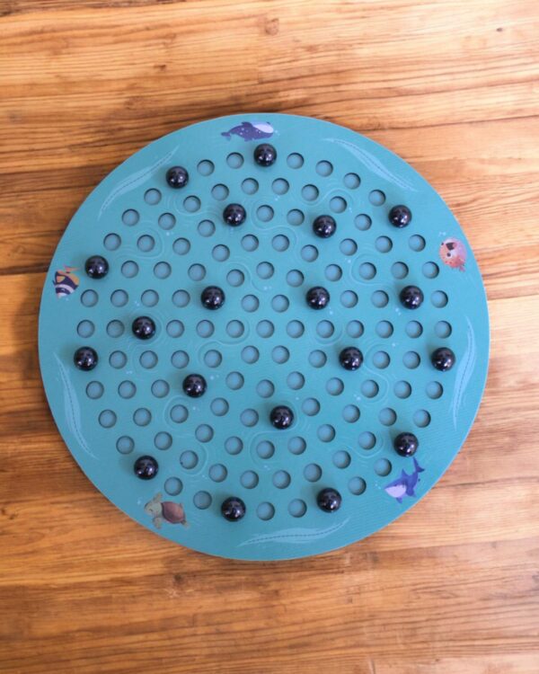 Magnetic Chess