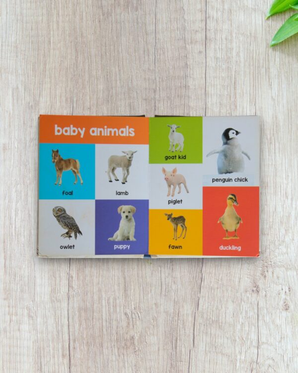 My first 100 animals - Image 2