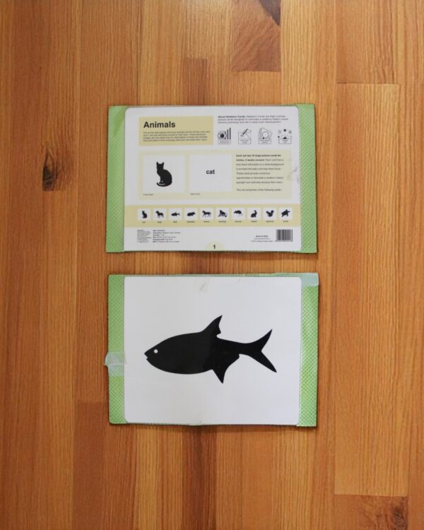 B&W Flash Cards – Animals