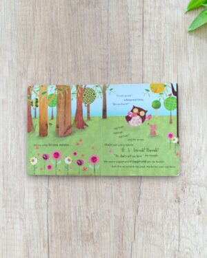 Oola The owl who lost her hoot