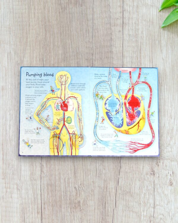 See inside your body - Image 2