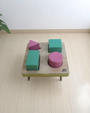 Shape Sorting Puzzle