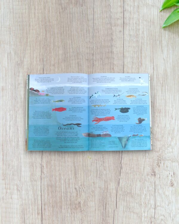 Earth Book - Image 2