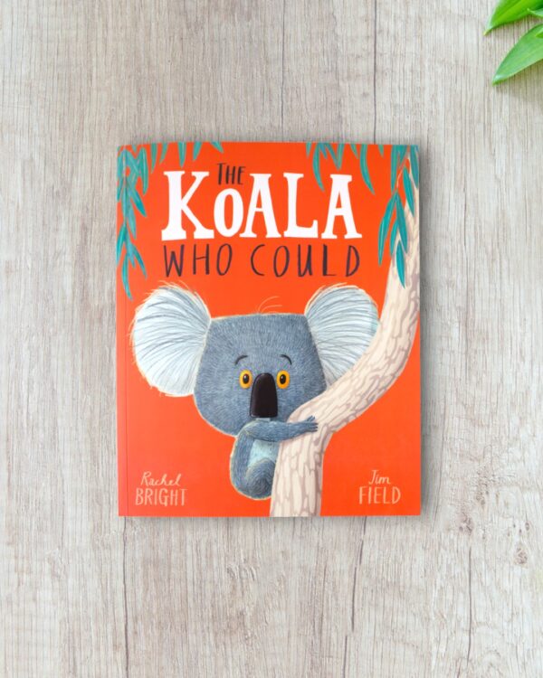 Koala who could