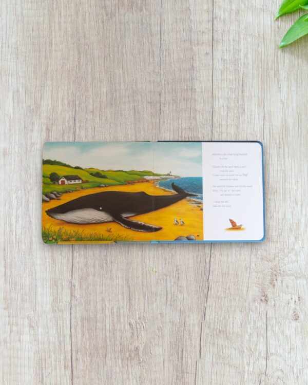 Snail And the Whale - Image 2