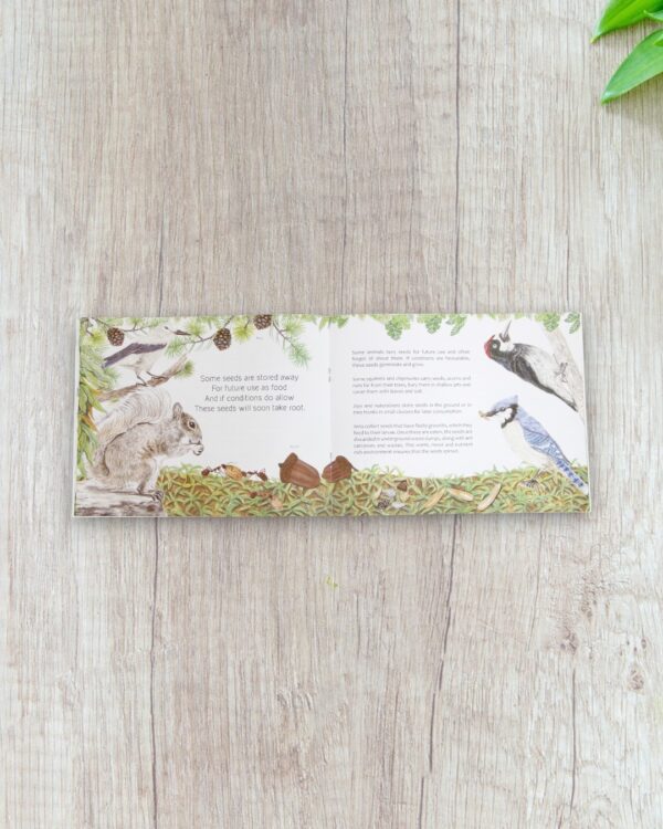 Travelling seeds - Image 2