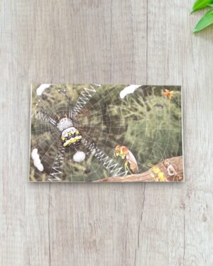 We are making a book