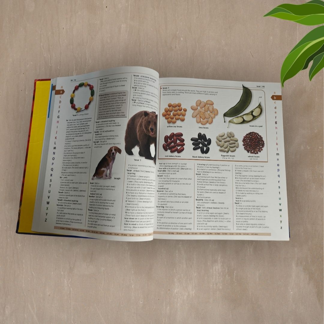 Meriam Webster's Children's Dictionary - Image 2